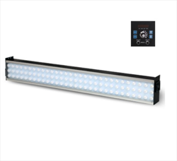 Đèn chớp kiểu cố định PNTOO PT-L02B-1200, PT-L02B-600